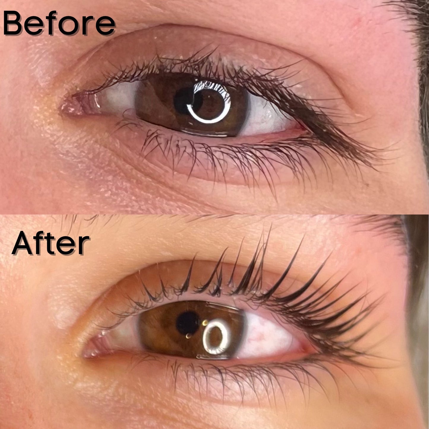 Lashcara